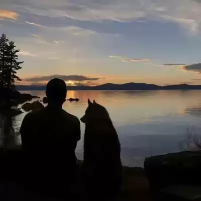 籍寄波
